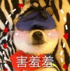 萌宠 汪星人 害羞羞 羞涩 搞怪 逗