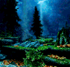 景观 landscape nature 风景