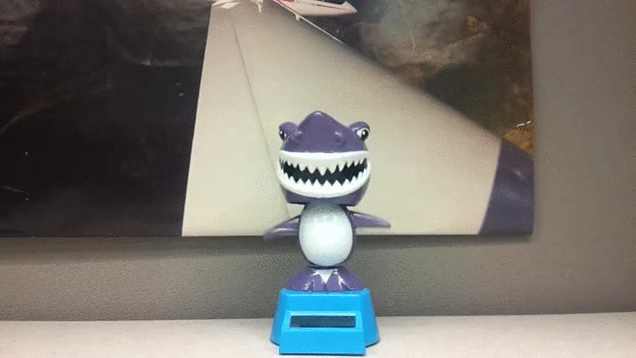 鲨鱼 shark 摇摆 玩具