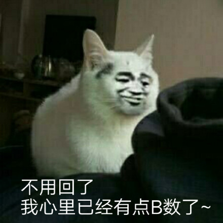 暴漫表情 我心里有b数 斗图