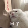 萌宠 猫星人 累了 没劲 搞怪 呆萌