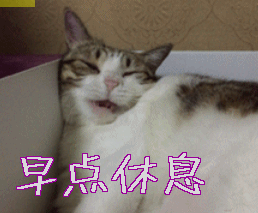 早点休息猫咪gif动图_动态图_表情包下载_soogif