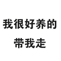 我很好养的带我走 白色背景 黑色文字 纯文字