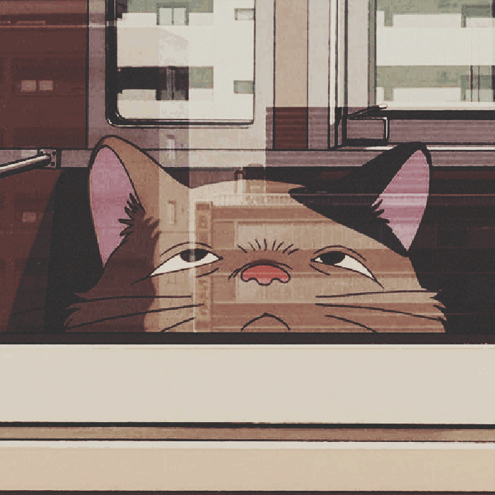 宫崎骏 龙猫 火车 玻璃