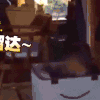 猫咪 喵星人 可爱 萌宠