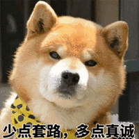 柴犬 狗 套路 真诚 搞怪 逗