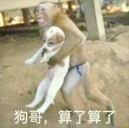 猴子 狗狗 抱着 狗哥 算了算了
