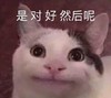 萌宠 猫星人 是对的 然后呢 呆萌 可爱