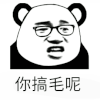 你搞毛呢 熊猫头 熊猫人 soogif soogif出品