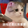 萌宠 喵星人 看来游戏比我重要 你居然打游戏不理我 憨憨 委屈