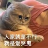萌宠 猫星人 人家就是不行 就是爱哭鬼 搞怪 可爱