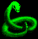 蛇 snake animal 绿色