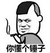 你懂个锤子 斗图 搞笑 猥琐 抽烟