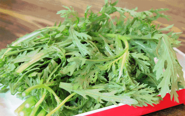 菠菜 茼蒿 金针菇 白菜