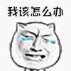 暴漫 我该怎么办 伤心 哭