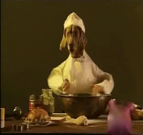烹饪 狗 有趣   烹饪
