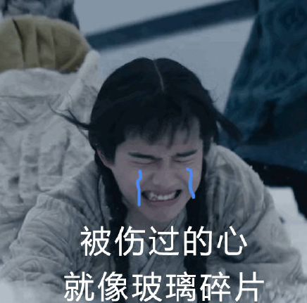 表情包 逗比 九州缥缈录 刘昊然 可爱