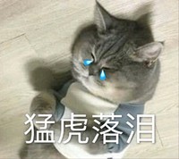 萌宠 喵星人 猛虎落泪 好想哭啊 憨憨 委屈