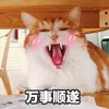 萌宠 喵星人 万事顺利 祝你万事顺遂 可爱 呆萌