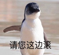 萌宠 企鹅 请您这边滚 走开 呆萌 可爱