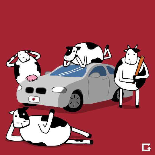 车 奶牛 创意 搞笑