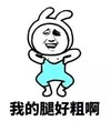 暴漫 熊猫头 我的腿好粗 苦恼 搞怪 逗