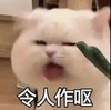 萌宠 猫星人 令人作呕 恶心 呆萌 可爱