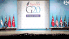 G20峰会 喵星人 胆大 路过