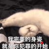萌宠 猫星人 我完美的身姿 就是你犯罪的开始 搞怪 呆萌