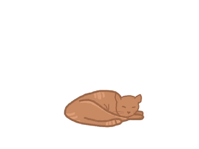 猫咪 睡觉 创意 摇摆