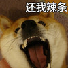 狗狗 张嘴 牙齿 还我辣条