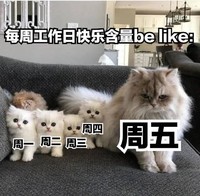 萌宠 汪星人 每周的工作快乐含量 周五快乐 搞怪 呆萌