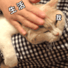 萌宠 猫星人 生活对我 无奈 搞怪 逗