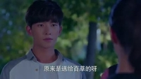 帅哥 夜晚 对话 树木 凝视