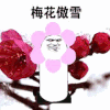 金馆长 梅花傲雪 花朵