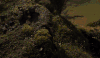人物 一望无际 田野 风景