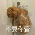 不要你管 猫 拒绝