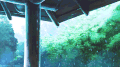 下雨天 屋檐 清新 雨点 暮春时节 暮春时光