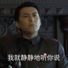 我就静静地听你说 靳东 老干部 伪装者