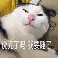 说完了吗 我要睡了 猫