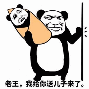 金馆长 老王，我给你送儿子来了 敲门 熊猫