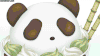 北极熊 polar bear 冰淇淋 熊猫