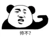 暴漫 文字表情包 帅不 搞笑 逗 沙雕
