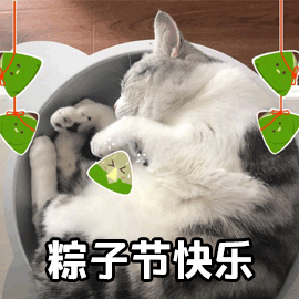 粽子节快乐 端午节 粽子 猫