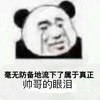 金馆长 流泪 熊猫 帅哥的眼泪