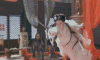 刘亦菲 可爱 美女 清新 迷人 女神