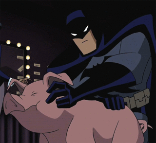 猪 pig 蝙蝠侠 卡通 可爱 抚摸