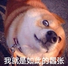 狗狗 可爱 单身狗 搞笑 我就是如此得嚣张