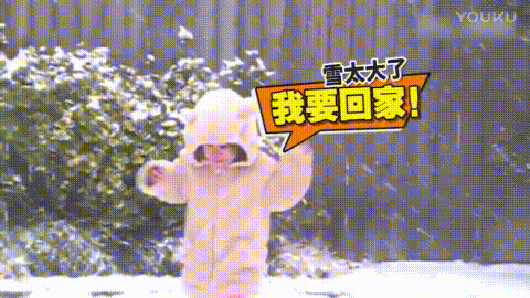 狗狗 可爱 雪地 奔跑