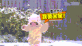 狗狗 可爱 雪地 奔跑